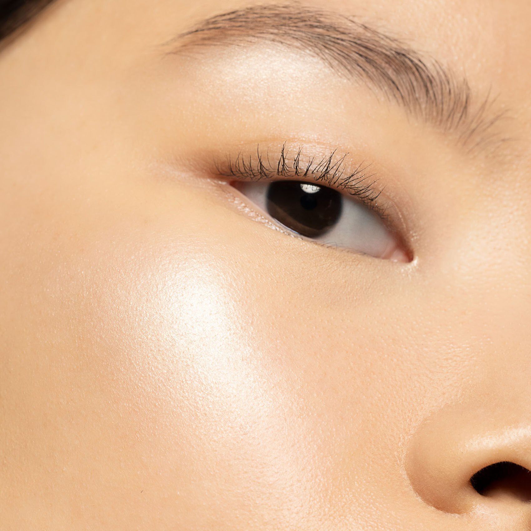 福袋安いいね半額ストア - Highlighter Libre Prisme Limited makeup holiday edition 小物